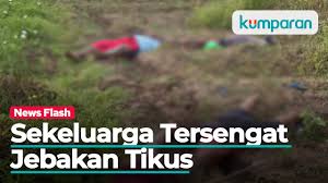 Tersengat aliran listrik di ketinggian 30 meter, seorang teknisi pln tidak mampu turun dari atas menara saluran ekstra tinggi. Satu Keluarga Di Bojonegoro Tewas Tersengat Listrik Jebakan Tikus Youtube