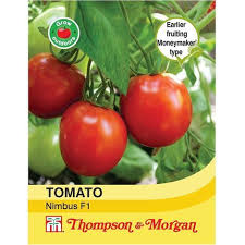 The indeterminate tomatoes have a round shape. 15 Seeds Tomato Justseed Tumbling Tom Red Garden Outdoors Vervetalent Plants Seeds Bulbs