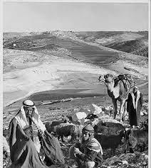 epingle sur فلسطين