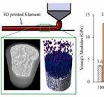 Design and characterization of carbon fiber-reinforced PEEK ...