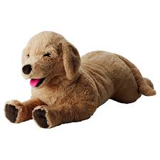 Pin On Golden Retriever