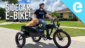 Image result for bicycle sidecar