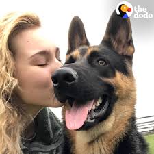 This dog knows how to save his mom's life ❤️