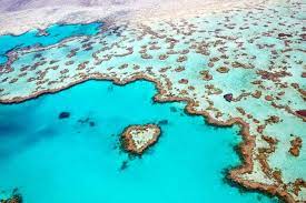 It sails from cairns to michaelmas cay, a stunning reef sand island. Great Barrier Reef Tours From Cairns Port Douglas Fitzroy Island