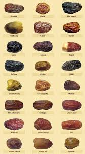 Thanks to the digital globe now obtaining products on the web have been created quick. Maria Firdz Lifestyle Blogger