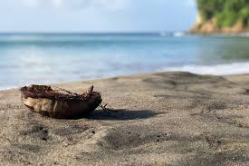 Martinique is an island and an overseas department/region and single territorial collectivity of france, and therefore an integral part of the french republic. Martinique Reisebericht Erfahrungen Tipps Fur Die Karibikinsel