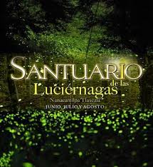 En medio de campos de cultivo y bosques. Tp Santuario De Las Luciernagas En Tlaxcala En Puebla Todopuebla Com