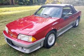 Image result for Wild Strawberry 1990 Tracer