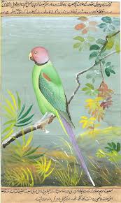 Birds That Cannot Fly In India Plum Headed Parakeet Miniature Art Handmade India Wild Life Ornithology Painting Animaux Oiseaux Inde