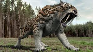 Smilodon Tarihi Olaylar