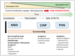Cancers Free Full Text Pain Management In Patients With Multiple Myeloma An Update Html