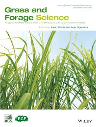 Image result for Halopyrum mucronatum