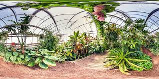 Öffnungszeiten von „botanischer garten mainz in mainz öffnungszeiten telefonnummer kontaktdaten anfahrt bewertungen. Botanischer Garten Mainz Gewachshaus Unterwuchs Tropischer Walder Botanischer Garten