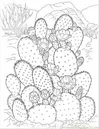 New users enjoy 60% off. Cactus 3 Coloring Page For Kids Free Flowers Printable Coloring Pages Online For Kids Coloringpages101 Com Coloring Pages For Kids