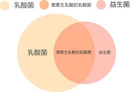 育兒 市售常見22款益生菌比較表懶人包 益生菌怎麼選 益生菌推薦 益生菌名稱中英文對照表 過敏益生菌 腸道益生菌