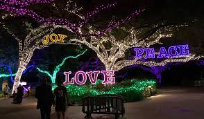 Things To Do Thanksgiving Week November 20 26 2017 365 Houston