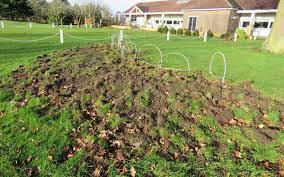 Emergency Authorisation For Chafer Grub Control Bigga