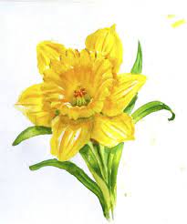 Posts About Flowers On Andrea Brooks Studio Watercolor Flowers Paintings Watercolor Flowers Flower Art