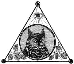 The Owl | Chicago IL