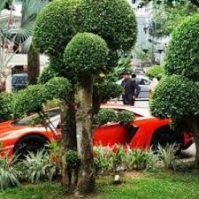 Kami ajarkan cara salin kulit tanpa rasa pepedih dan cantik luar. Kereta Sport Mewah Lamborghini Milik Datuk Seri Vida Azhan Co