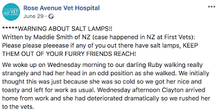 Himalayan salt lamps have been tested by negative ion measuring devices by various labs. Owner Of Cat Who Nearly Died Due To Salt Poisoning Is Warning Others About The Dangers Of Salt Lamps I Can Has Cheezburger