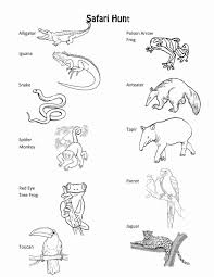 Animal Track Coloring Pages Animal Tracks Coloring Pages Kaigobankfo Animal Footprints Animal Tracks Zoo Animal Coloring Pages