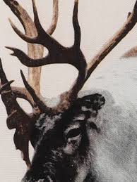 Larry deer animal grey digital print cotton set of 2 cushion covers