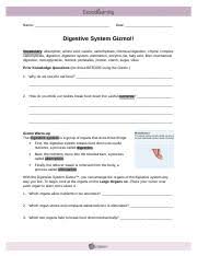 Feel free to email me if you have any questions! Ty Digestive System Gizmos Docx Name Date Student Exploration Digestive System Vocabulary Absorption Amino Acid Carbohydrate Chemical Digestion Chyme Course Hero
