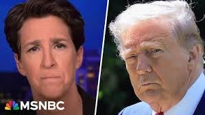 Amanda Heiner's Instagram, Twitter & Facebook