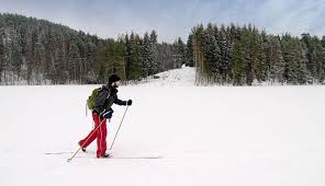 If you were skating on ice and you built up speed then stopped skating, eventually you. 5 Best Cross Country Skis In 2021 Buying Guide Reviews Globo Surf