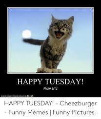 I think when it comes to the best days of the week, they generally rhyme with friday and saturday but like everything in life, they're a start and an end. Happy Tuesday From Dtc Happy Tuesday Cheezburger Funny Memes Funny Pictures Funny Meme On Me Me
