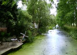 De regels van de afzonderlijke nummers zijn van toepassing, met een paar uitzonderingen. Zevenkamp Sloot 1 Rotterdam Precioso Jardin Donde Poder Flickr