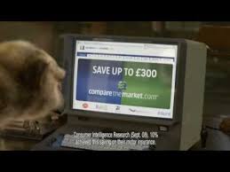 Take the confusion out of car insurance. Compare The Meerkat Compare The Market Youtube