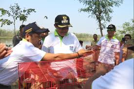 Reduce, reuse, recycle dan treatment. Pemerintah Kota Tegal Kendalikan Sampah Plastik