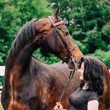 Clea Cloutier - YouTube