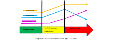 What is the best medication for insulin resistance. Insulin Resistance Testing