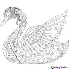 You can search several different ways, depending on what information you have available to enter in the site's search bar. Swan Animals Coloring Pages