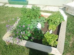Pin Auf Garten
