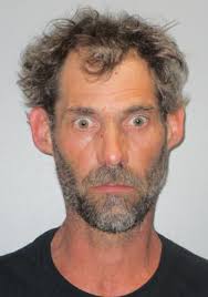 Mesick man, woman charged after fleeing weekend traffic stop