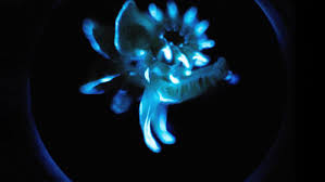 Unlock the secrets of complex neural circuits. This Tube Worm S Glowing Slime May Help Sustain Its Own Shine Science News For Students
