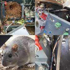 Your business and family are precious to you, similarly as they are to. Automatic Gate Repair Service Contra Costa Call Now 925 690 1010