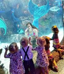 Join Aquarium Restaurant