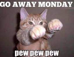 When Your At Work And Trying To Stay Positive Good Afternoon Funny Cat Pictures Funny Animals Funny Animal Pictures