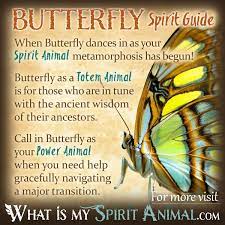 Butterfly Symbolism Meaning Spirit Totem Power Animal Butterfly Spirit Animal Power Animal Butterfly Symbolism