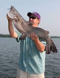 The department of fish and game works to preserve the state's natural resources. Great Destinations For Kansas Catfishing