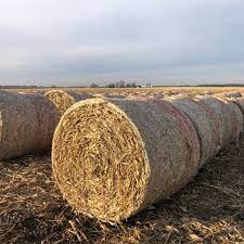 We did not find results for: Corn Stalks Archives Haymap