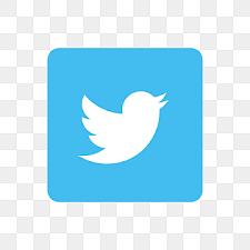 On this page, you can also find other social media icons and logos you may need. Twitter Logo Png Twitter Icon Transparent Png And Vectors For Free Download On Pngtree