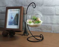 27 Terrariums That Will Restore Tranquility To Your Home Air Plant Ornament Office Desk Decor Terrariums Kits