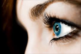 But if you do this you will need to consider hygiene and safety. Eyelash Facts Weird Facts And History About Eyelashes