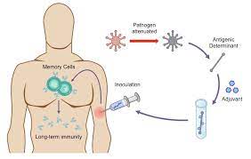Vaccination Bioninja